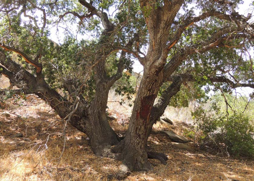 Caves and Hideouts, Corriganville